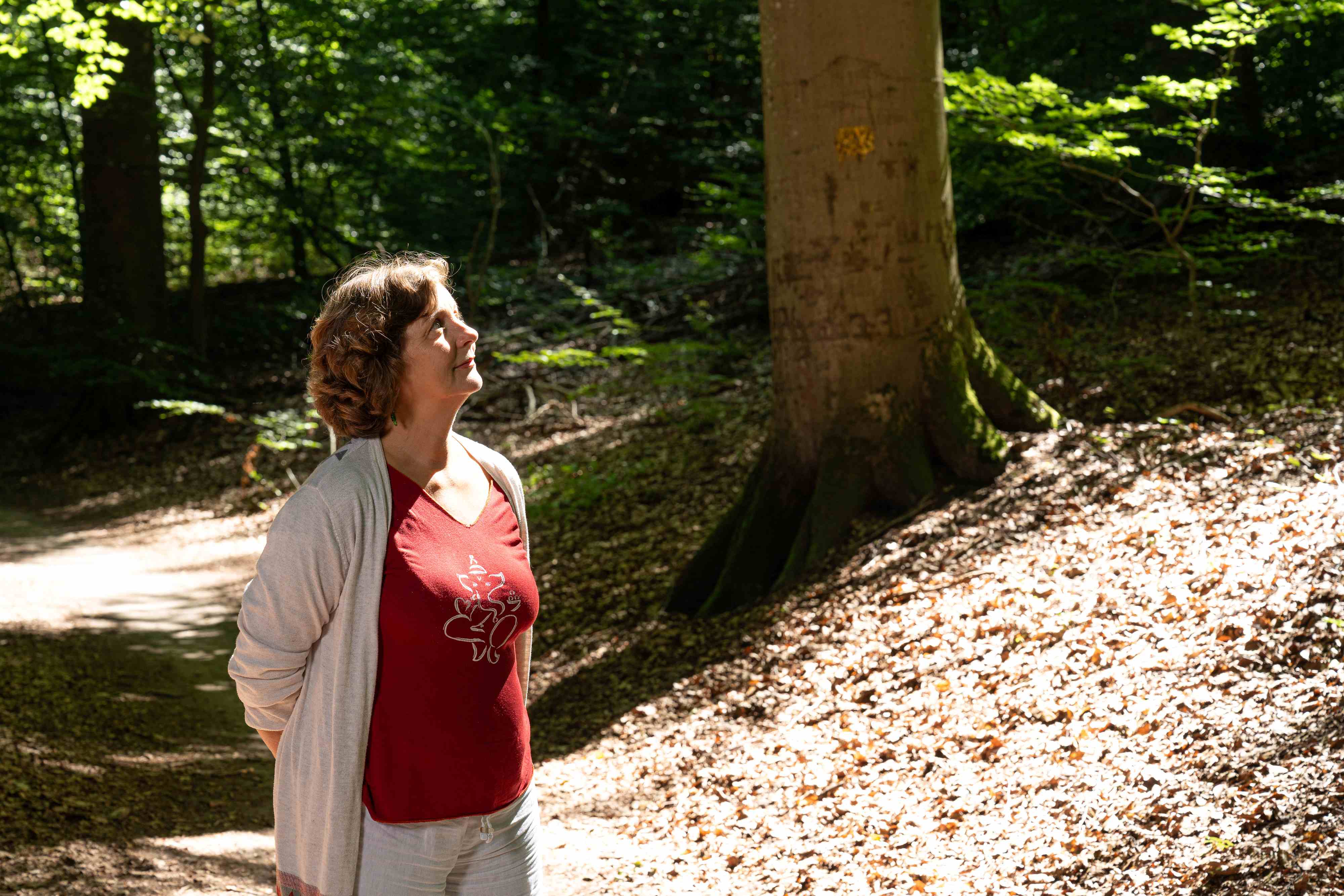 Wald-Walking